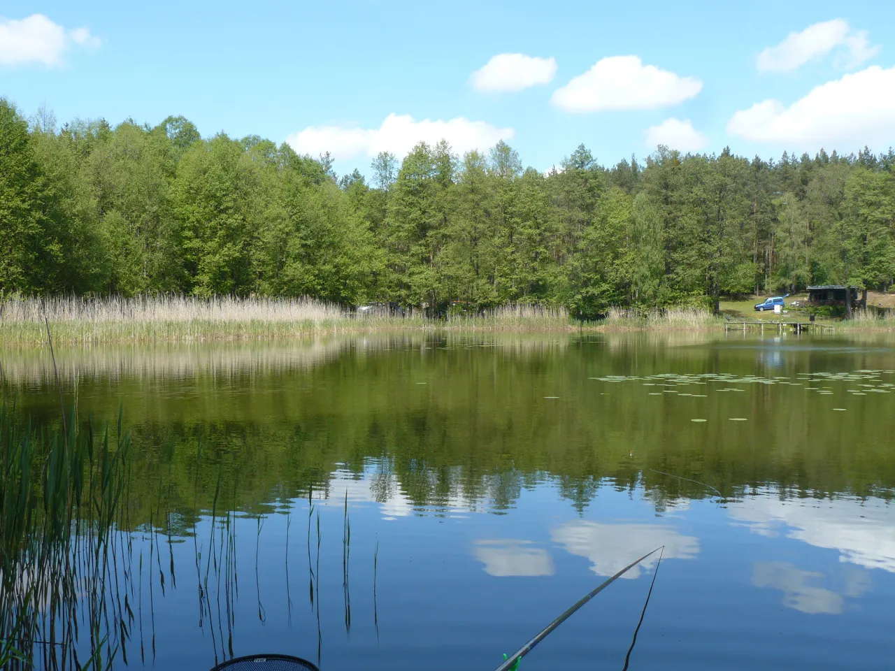 jezioro PZW wielkopolska wędkowanie