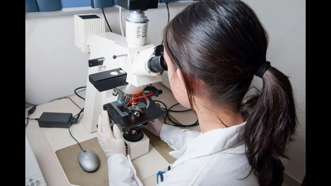 lekarz weterynarii badający próbkę mięsa pod mikroskopem