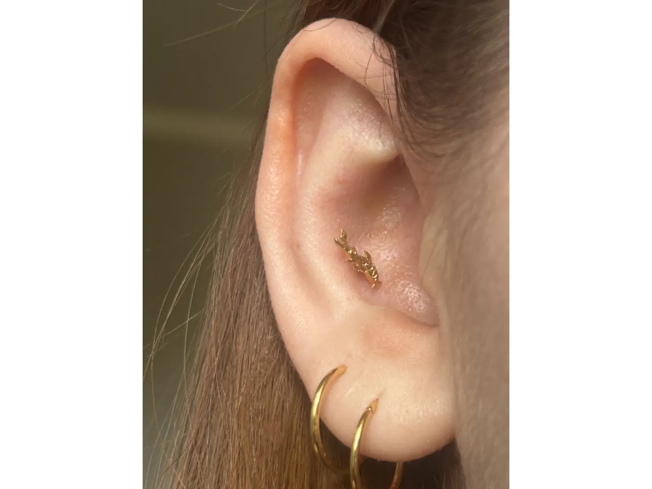 rodzaje kolczyk&oacute;w do piercingu tytan złoto bioplast