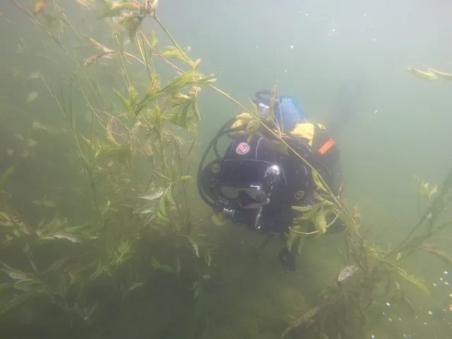 nurkowanie w jeziorze Pluszne