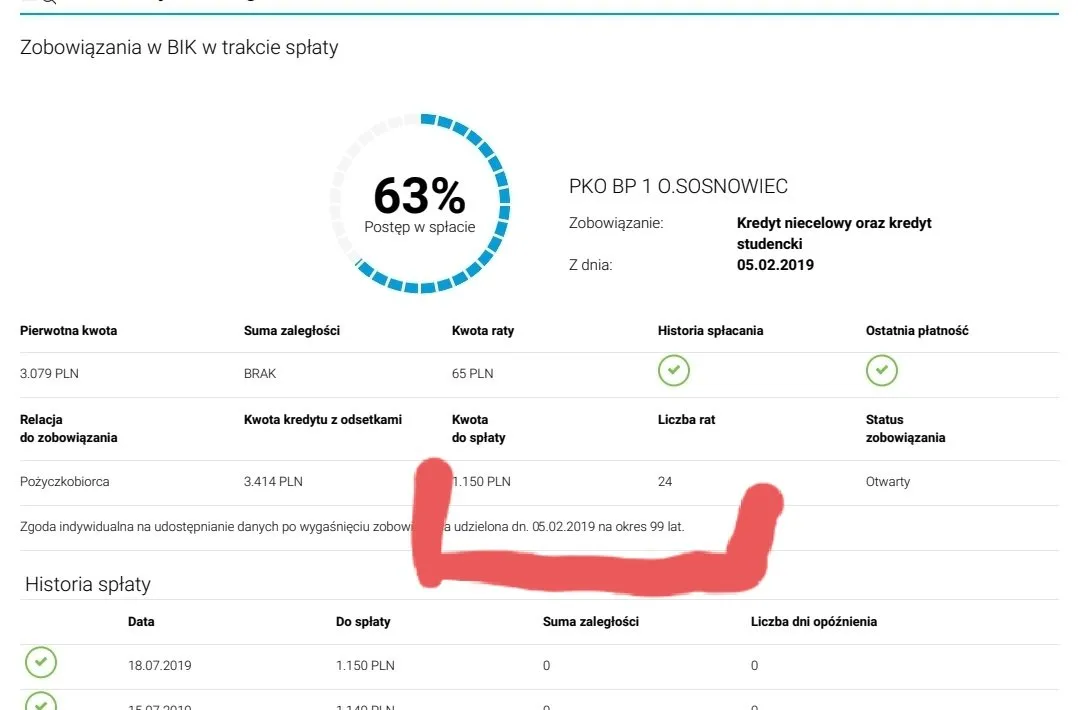 czysta historia kredytowa, negatywne wpisy BIK