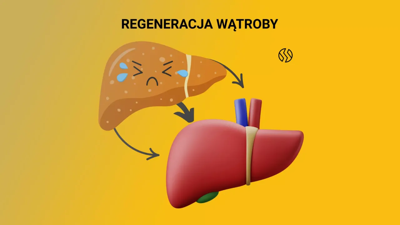Składniki aktywne wątroba, fosfolipidy, sylimaryna, ornityna, karczoch
