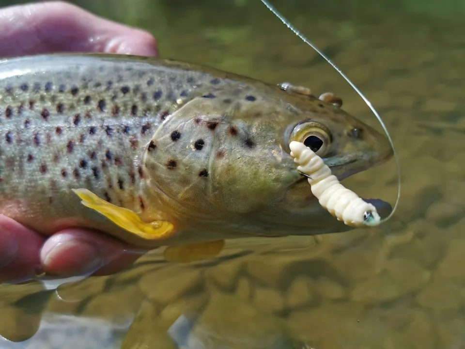 Libra Lures na pstrągi okonie sandacze