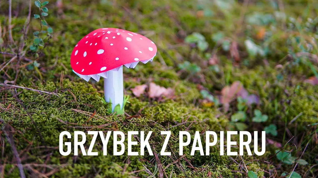 Zdjęcie Jak zrobić czapkę muchomora: 9 prostych kroków + wskazówki