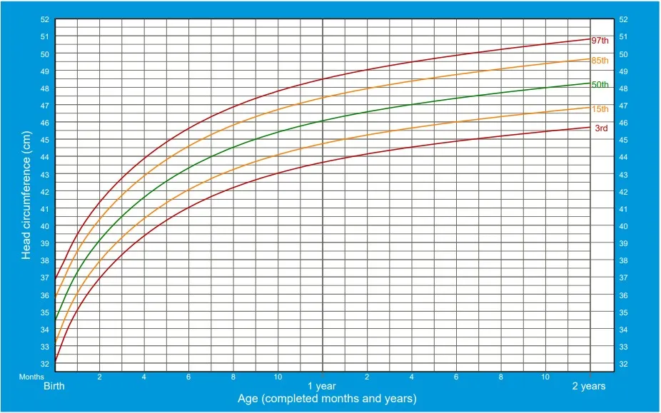 siatki centylowe obw&oacute;d głowy dziecka