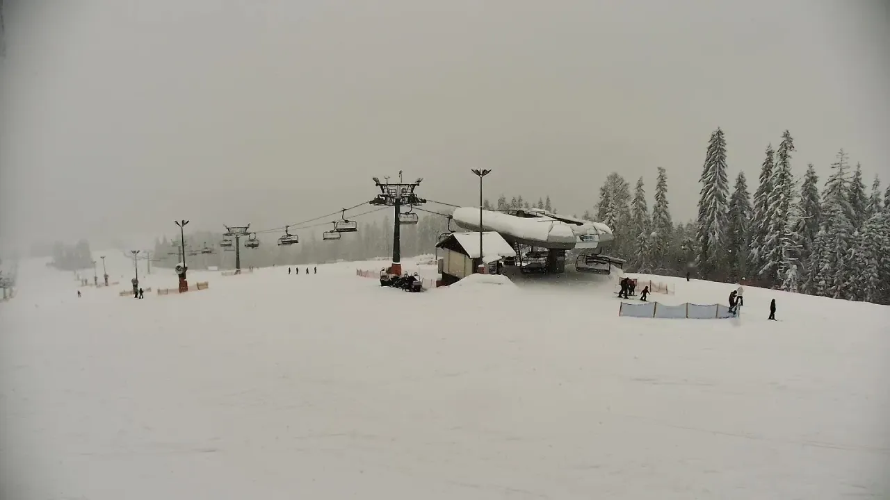 Widok z białka tatrzańska webcam: kolejka krzesełkowa, ośnieżone drzewa i narciarze na stoku.