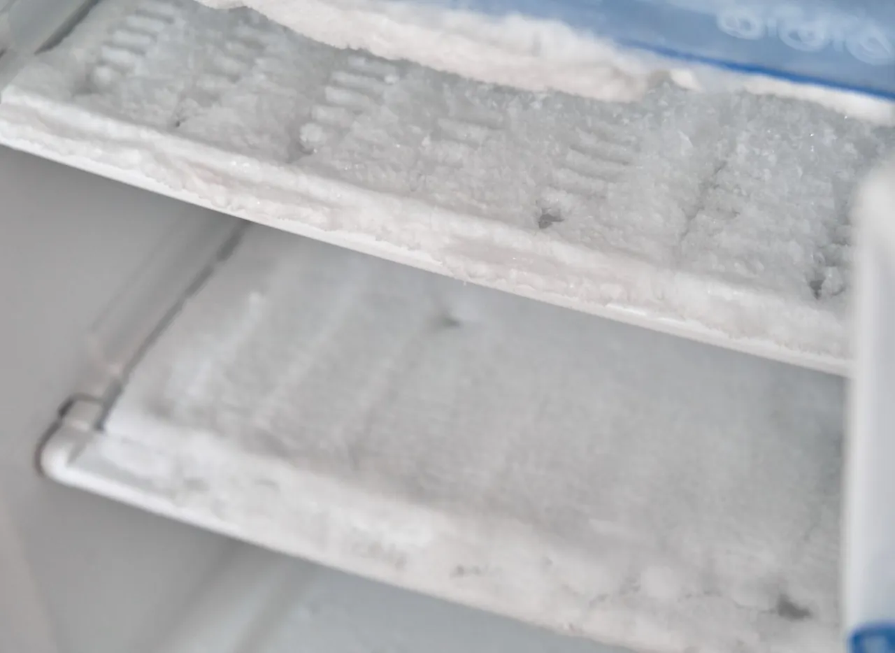 przygotowanie zamrażarki do mycia krok po kroku