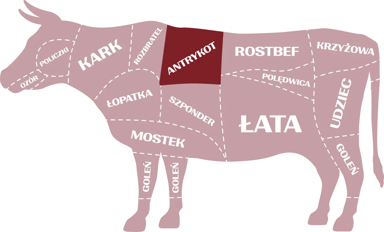 Schemat wołu z zaznaczonymi częściami: antrykot, rostbef, polędwica. Idealny wybór na pyszny stek.