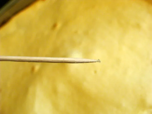 test patyczka w pasztecie