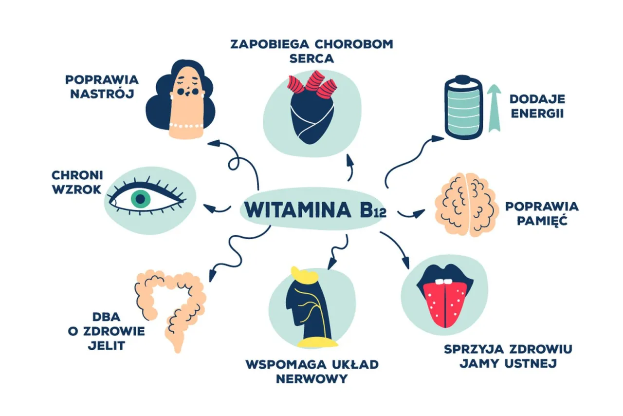 Grupy ryzyka niedoboru witaminy B12 infografika