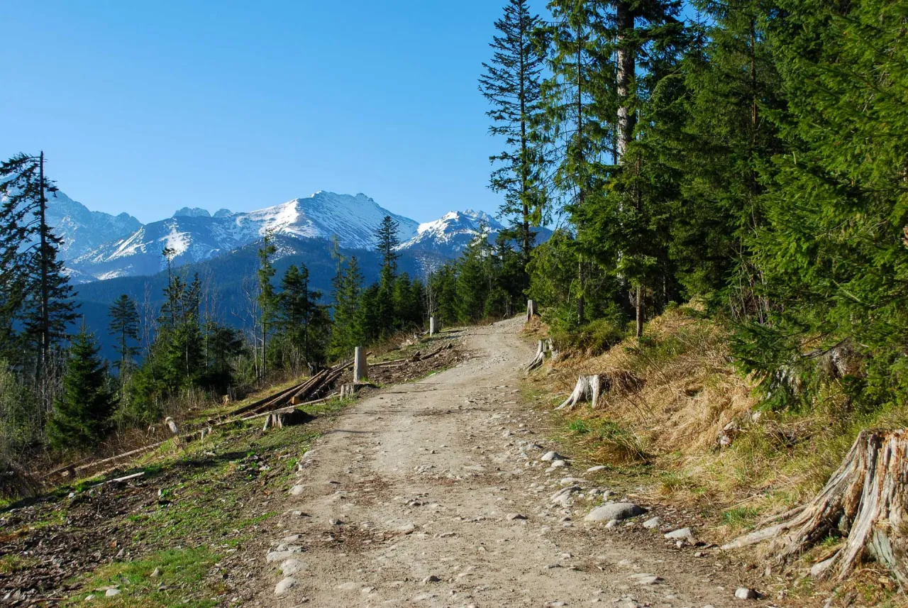 Rusinowa Polana panorama Tatr