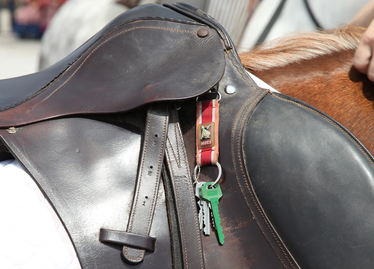 objawy źle dopasowanego siodła u konia