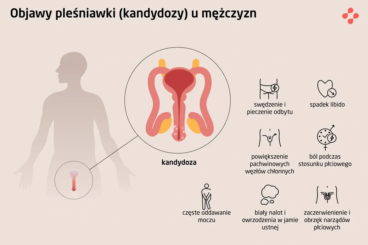 Choroby urologiczne leczenie