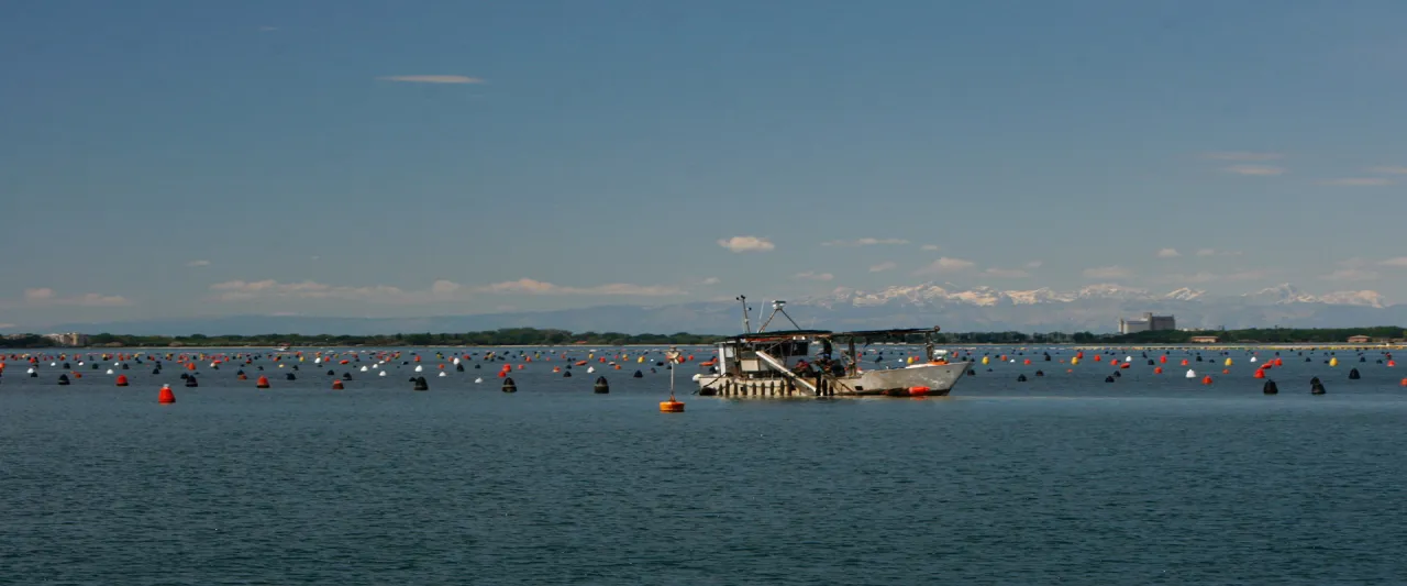 etykiety ryb certyfikaty ASC GlobalGAP