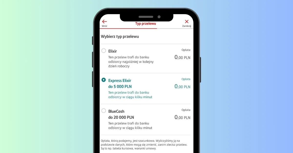 Przelew natychmiastowy Express Elixir jak działa