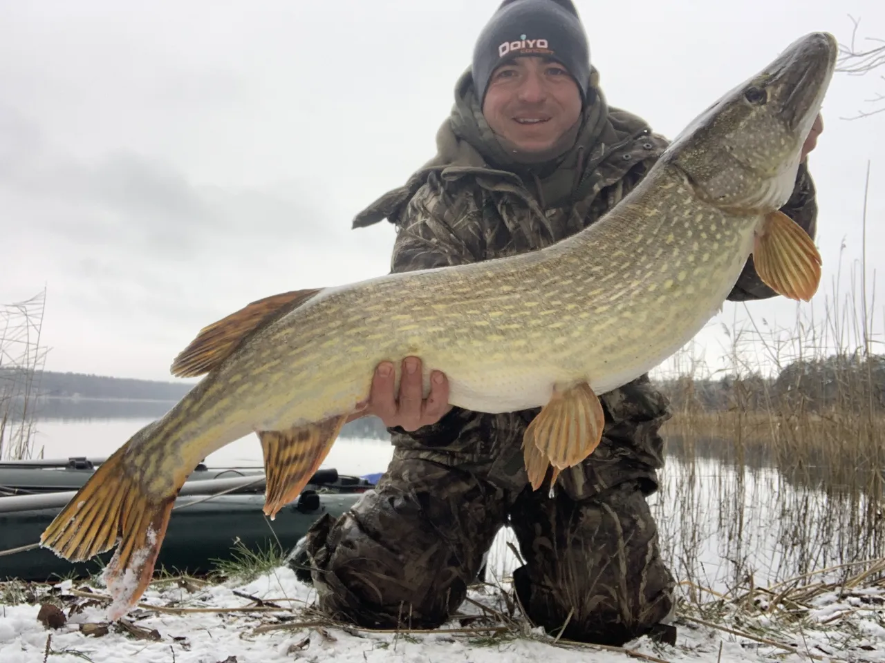 szczupak z Jeziora Pile