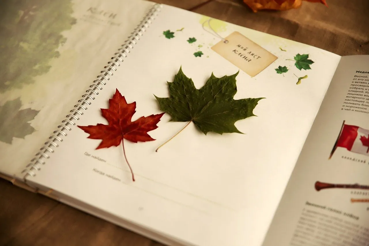 przykładowe zielniki szkolne