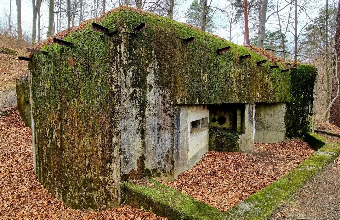 Bunkry Linii Mołotowa Roztocze