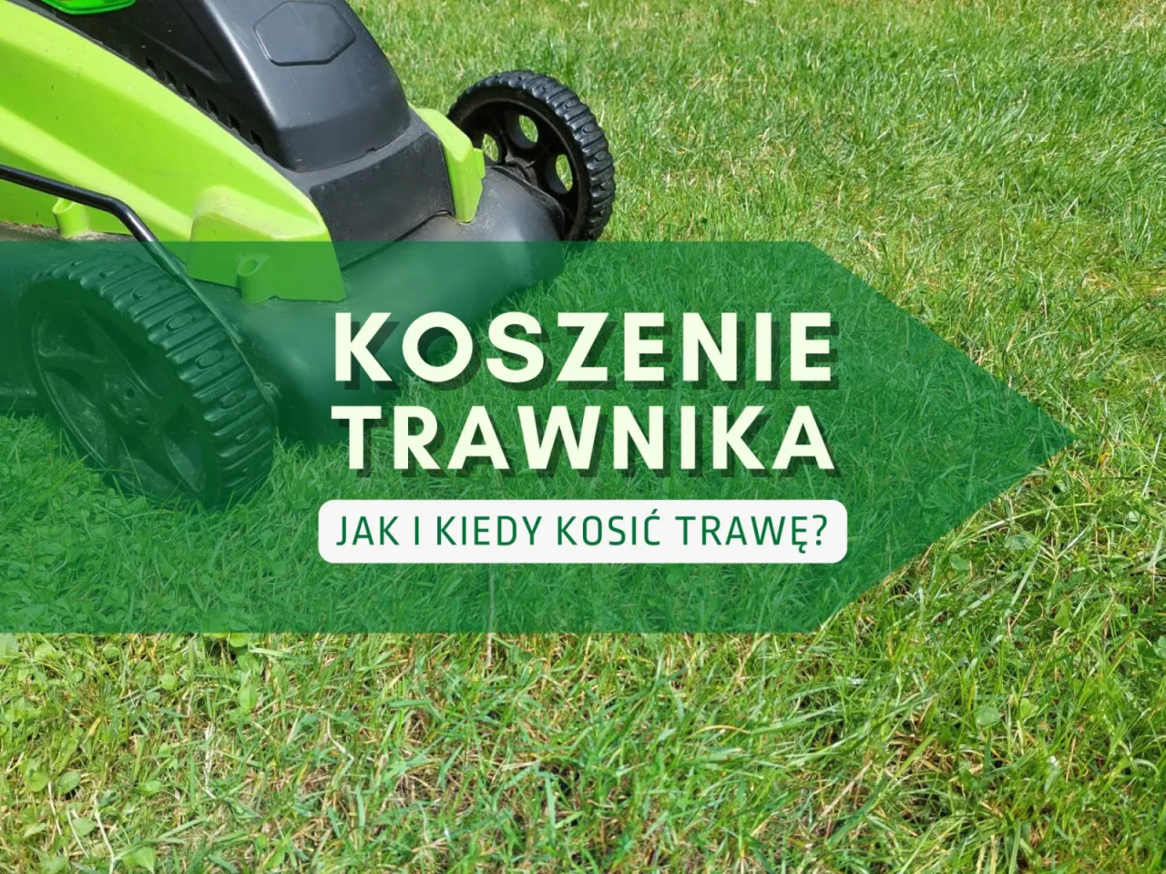 Kosiarka na tle zielonej trawy. Tekst: