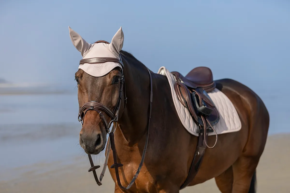dopasowanie siodła test statyczny