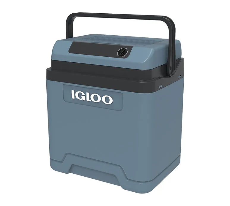 mini lodówka sprężarkowa vs termoelektryczna porównanie