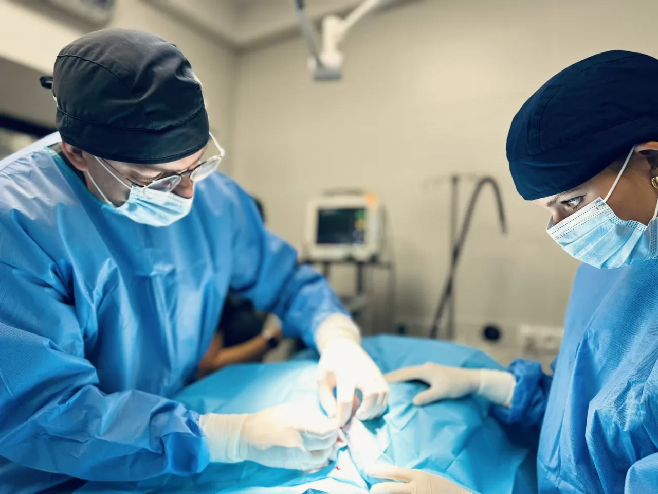 apatyczna suka powiększony brzuch