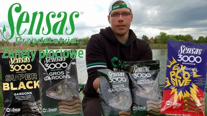 przygotowanie zanęty sensas gros gardons