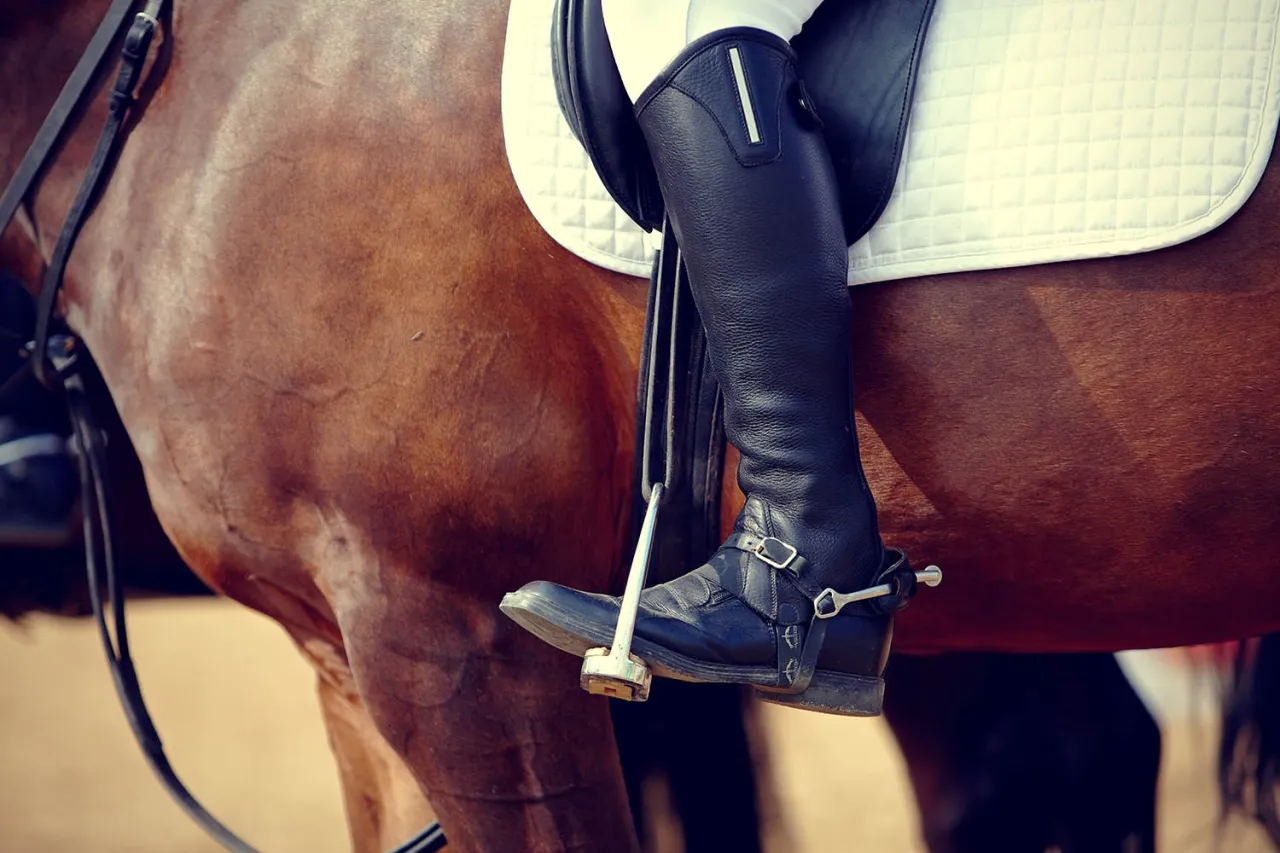 Przekr&oacute;j buta jeździeckiego zimowego z warstwami izolacji