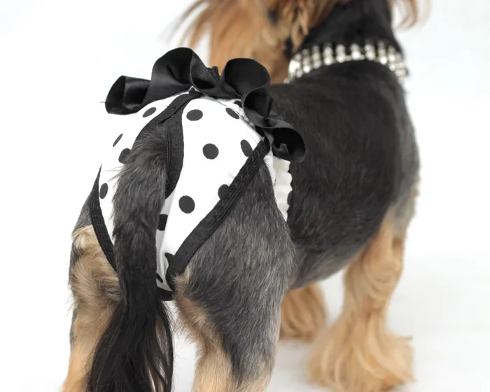 wykrój majtki dla psa na cieczkę