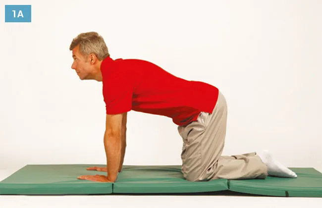 ćwiczenia rehabilitacyjne kręgosłupa szyjnego