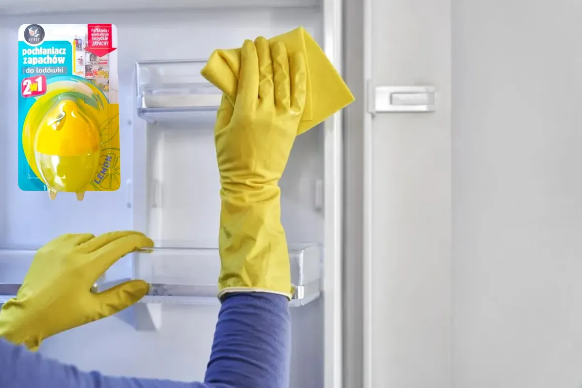 Profesjonalne pochłaniacze zapach&oacute;w do lod&oacute;wki