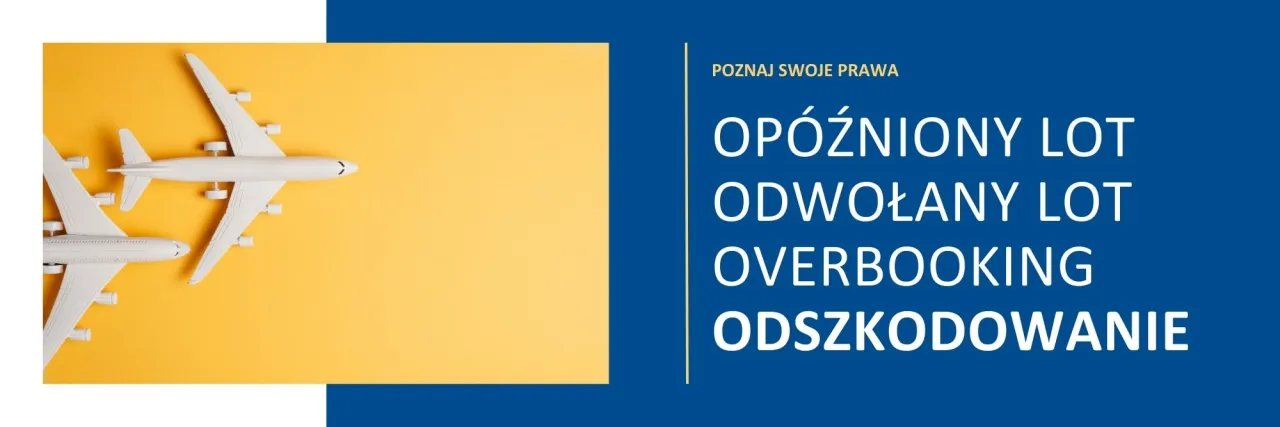 porównanie odszkodowań lotniczych biuro podróży linia lotnicza infografika
