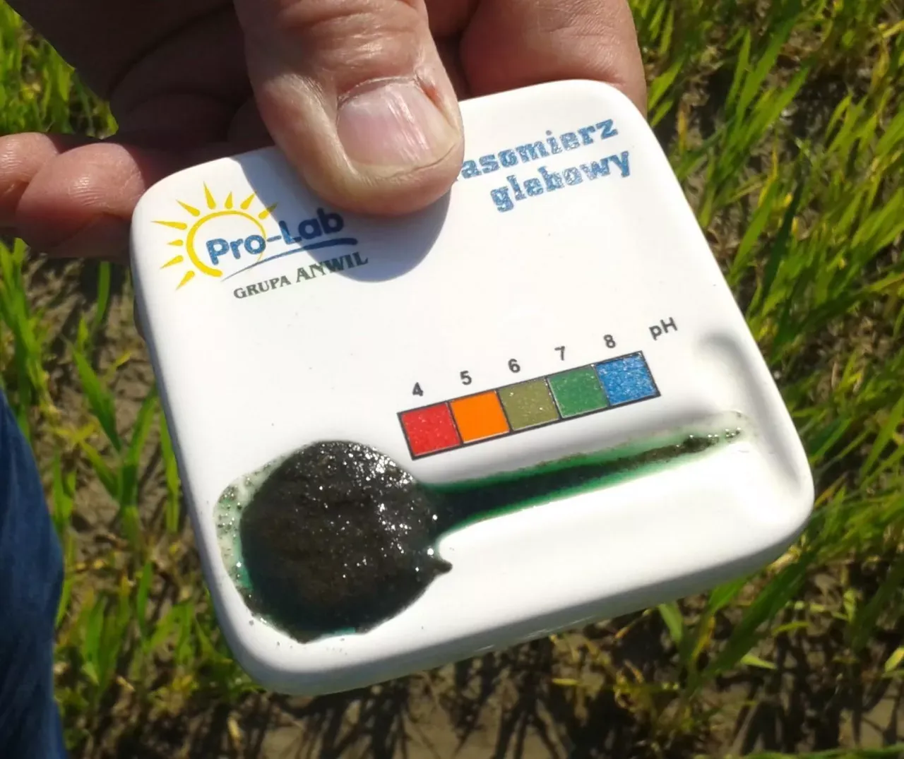badanie ph gleby kukurydza
