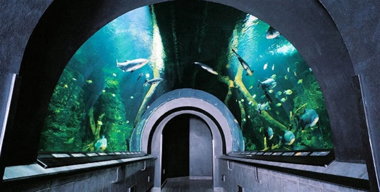 Obří akvárium Hradec Králové wnętrze