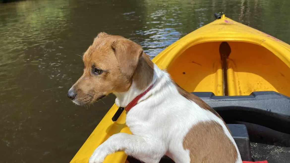 kajaki Mała Panew wypożyczalnia sprzęt