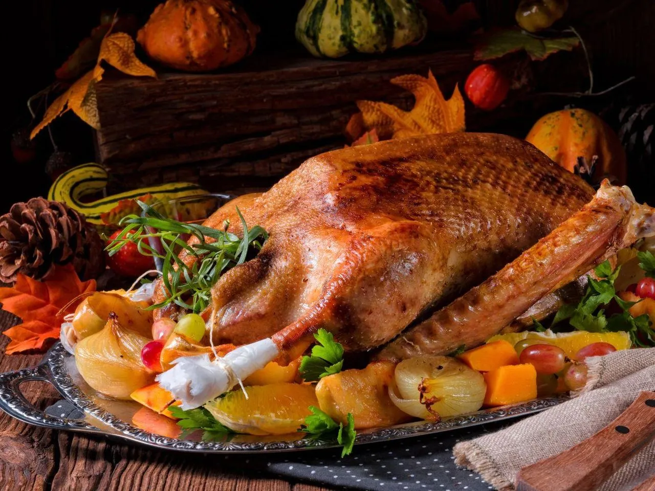 świeża gęś surowa, gęś owsiana kołudzka