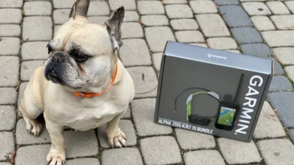 gadżety dla psa lokalizator gps i interaktywna kamera