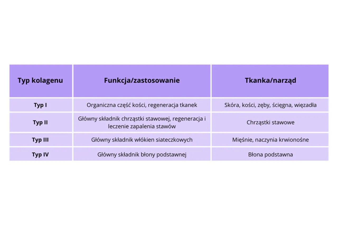 Tabela przedstawia typy kolagenu. Kolagen typu 1 jest gł&oacute;wnym składnikiem kości, sk&oacute;ry i ścięgien, wspierając regenerację tkanek.
