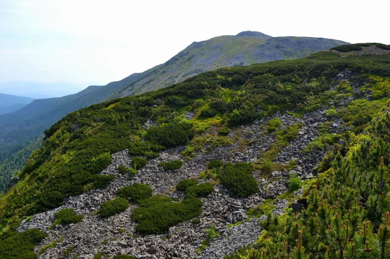 Przełęcz Krowiarki szlak czerwony Babia Góra
