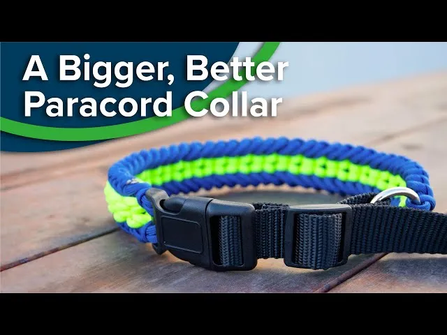 DIY dog collar webbing paracord examples