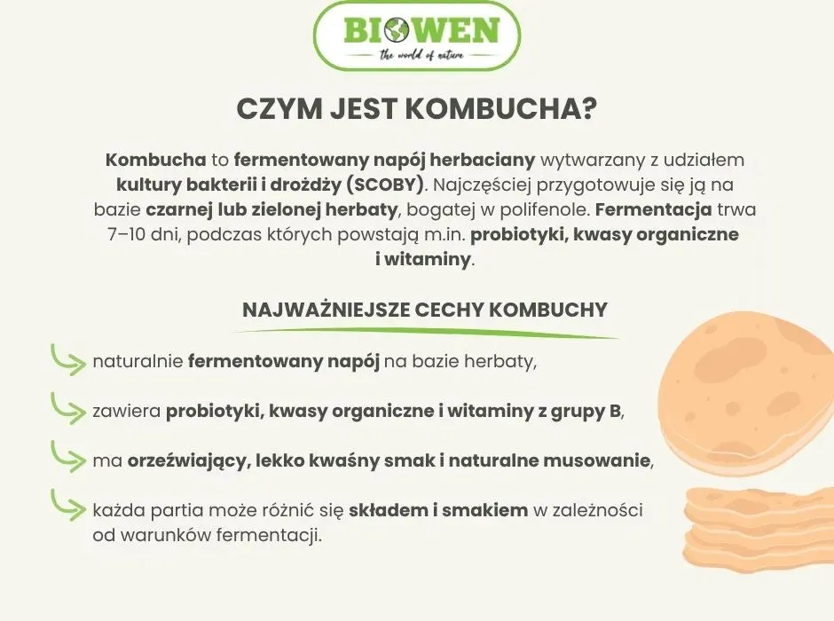 kombucha składniki aktywne probiotyki