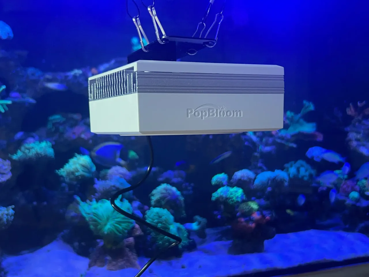 Programator czasowy do akwarium