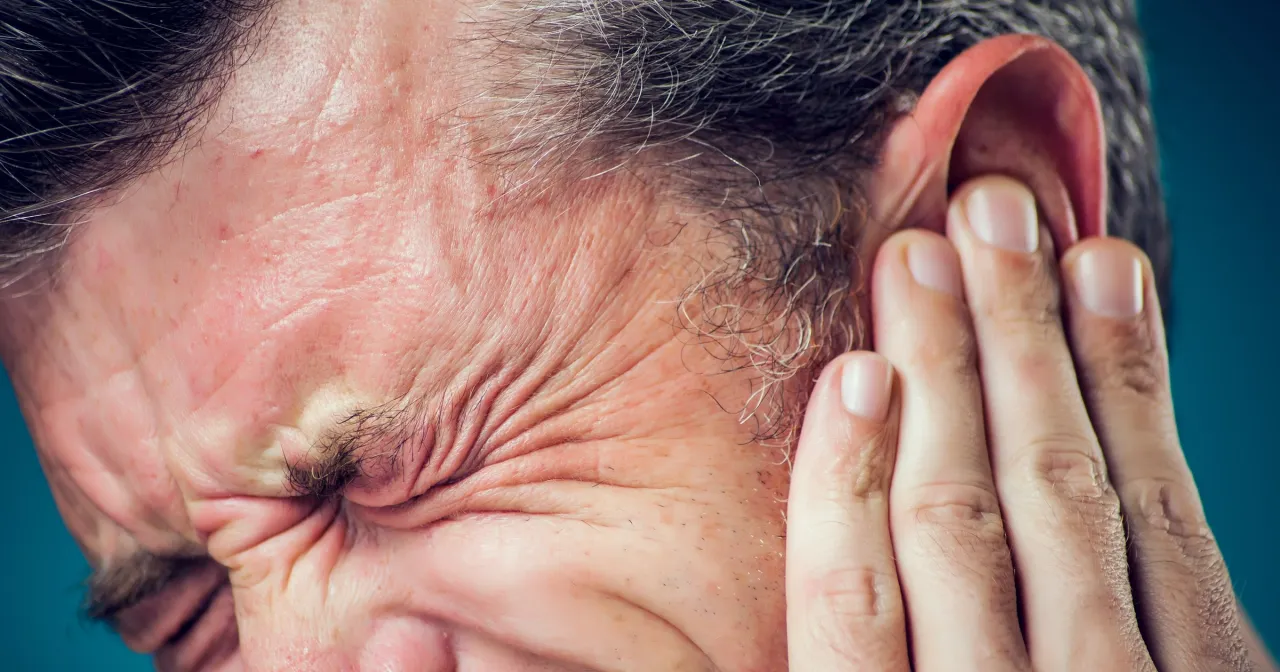 Przekrój ucha wewnętrznego z uszkodzonymi komórkami słuchowymi