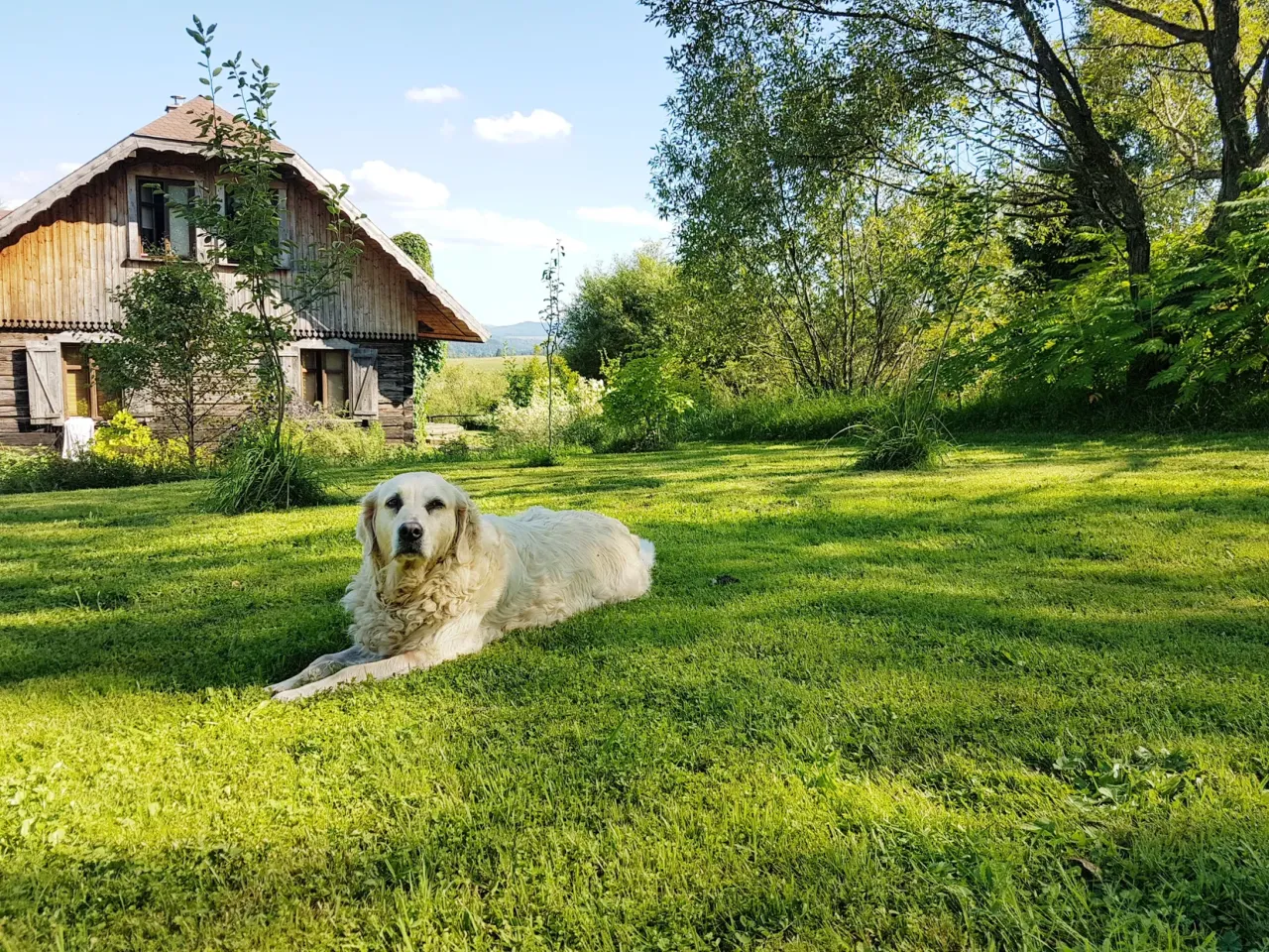 Bieszczady noclegi z psem szlaki