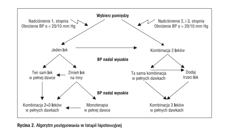 infografika grupy lek&oacute;w na nadciśnienie mechanizm działania