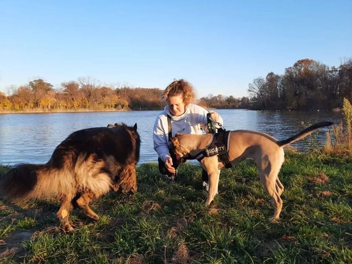 Dorosły pies z kagancem, pies na smyczy w parku, pies ćwiczący komendy