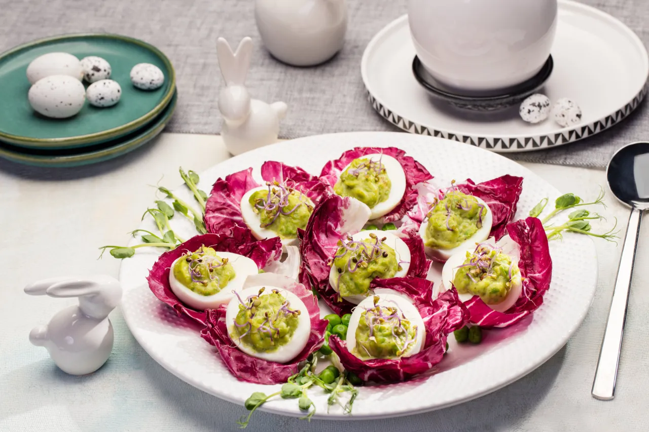 Faszerowane jajka z awokado i kiełkami na liściach cykorii. Pyszny pomysł na to, co można zrobić z ugotowanych jajek.