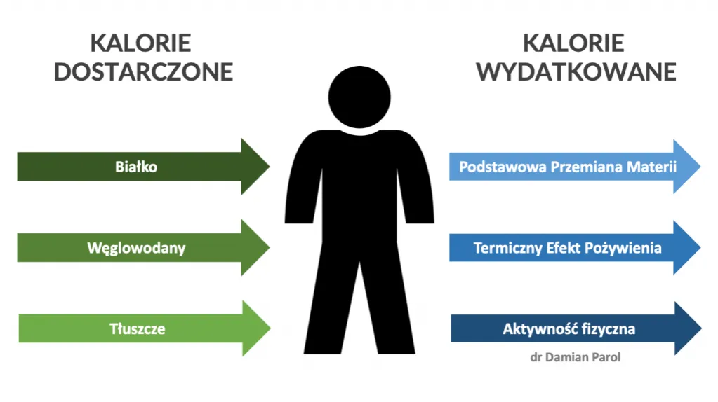 deficyt kaloryczny grafika, bilans energetyczny