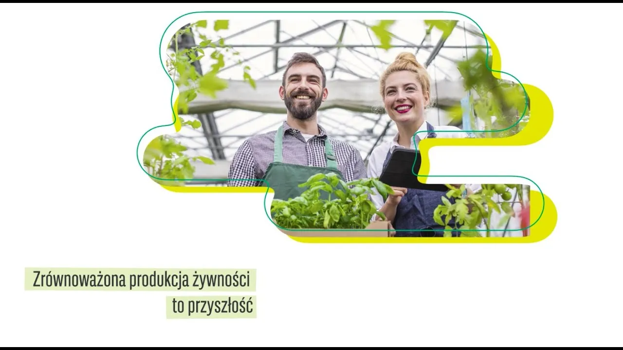Zdjęcie Kalkulator emisji gazów cieplarnianych - zmierz swój ślad węglowy teraz