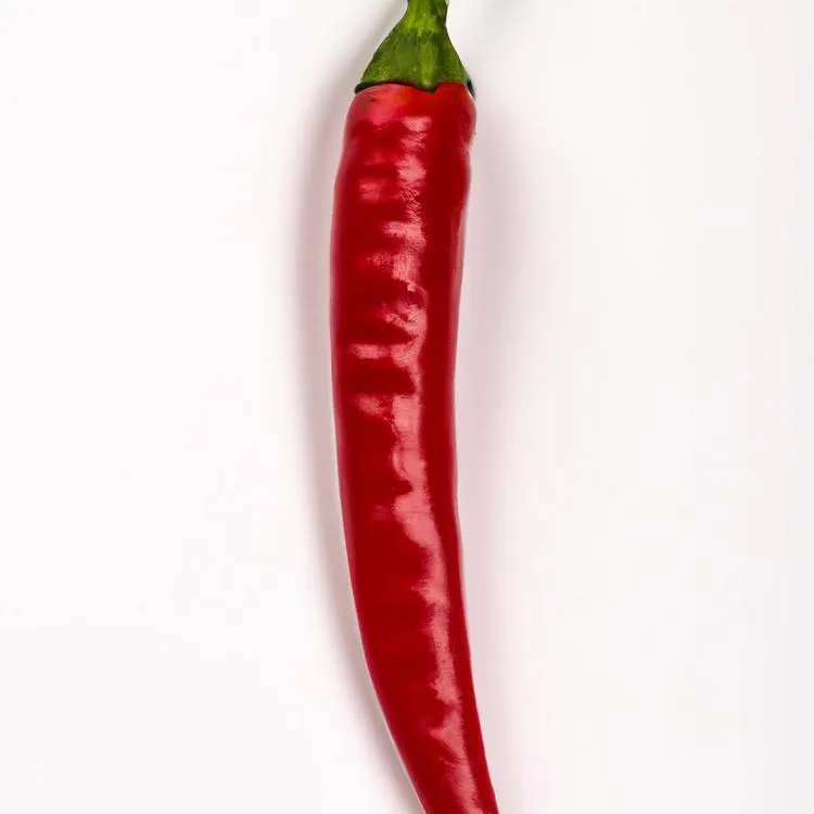Zdjęcie Ile kcal ma jalapeno burger? Zaskakujące różnice w kaloriach!